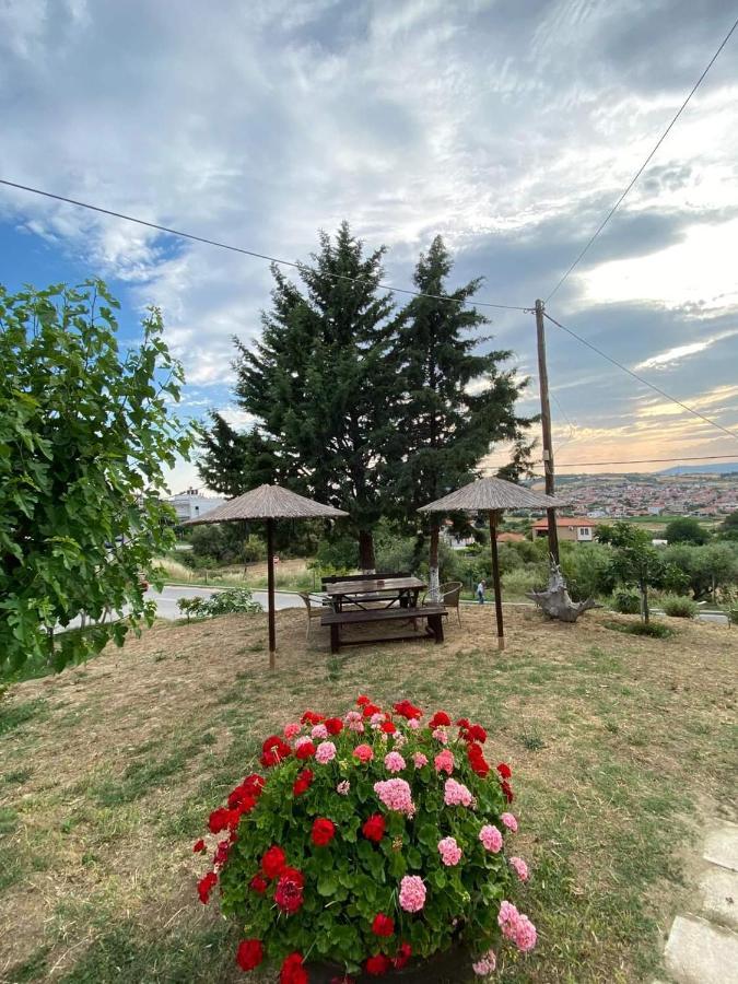 Despoina Meletiadou Nea Roda Exteriér fotografie